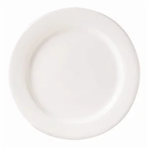 9 inch Plate